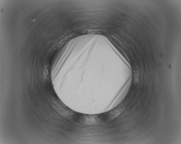 X0000083660618200703121813