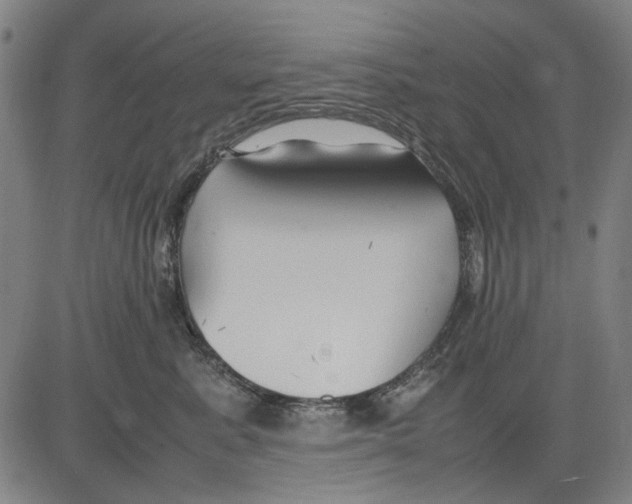 X0000083660619200703121813