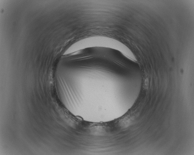 X0000083660620200703121813