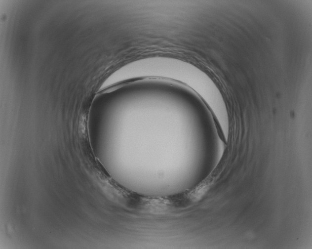 X0000083660621200703121813