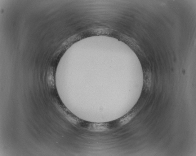 X0000083660622200703121813