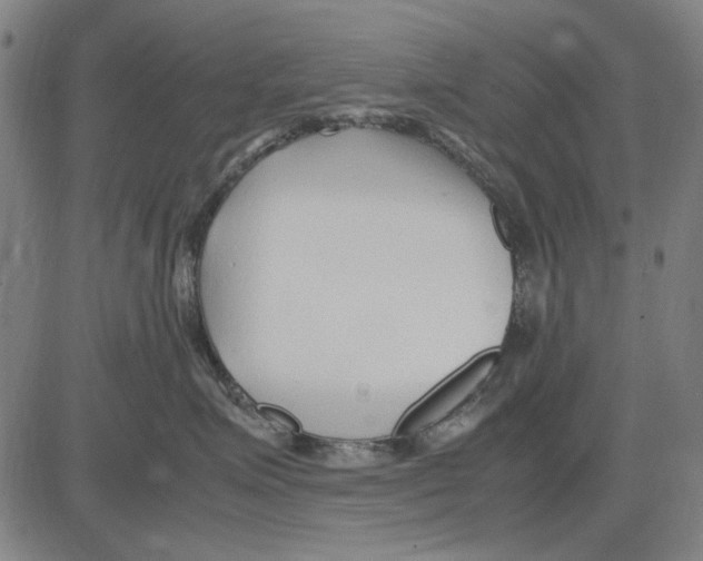 X0000083660623200703121813