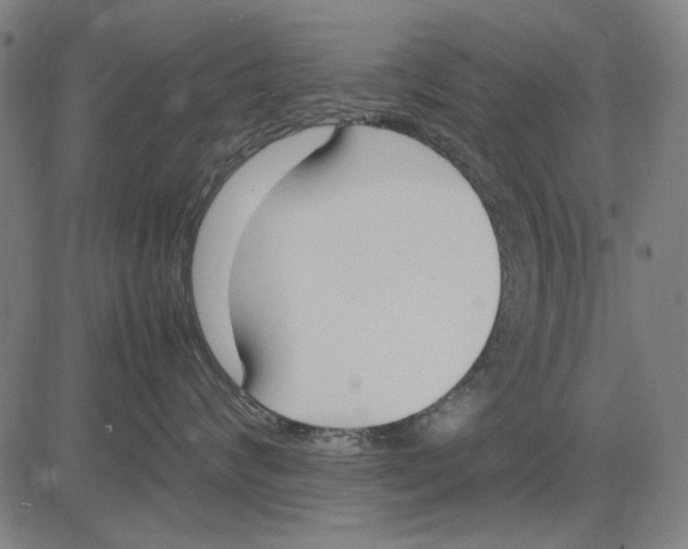 X0000083660624200703121813