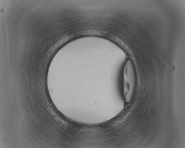 X0000083660625200703121812