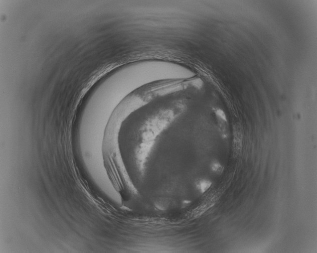 X0000083660626200703121812