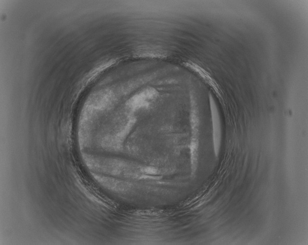 X0000083660627200703121812