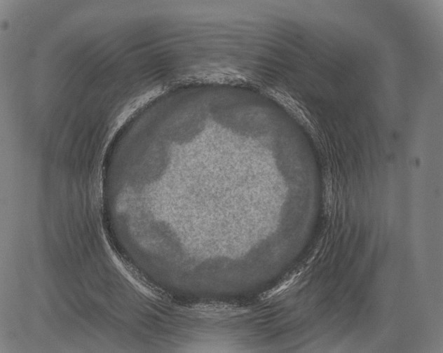 X0000083660630200703121812