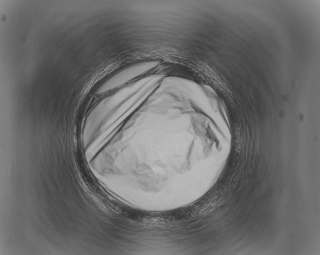 X0000083660634200703121812