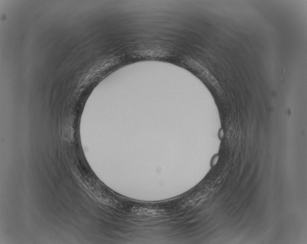 X0000083660635200703121812