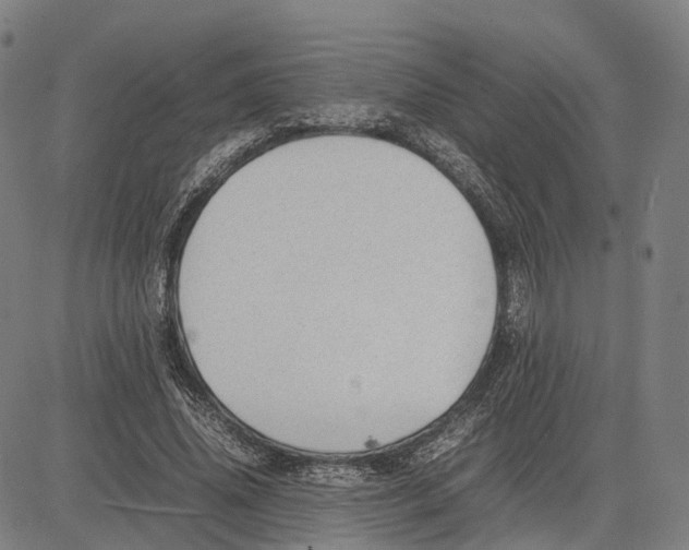 X0000083660636200703121812