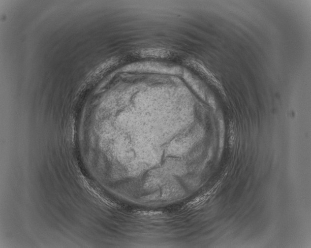 X0000083660637200703121812