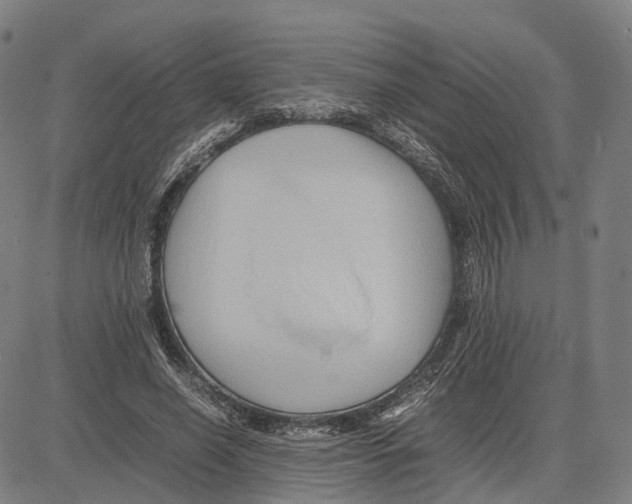 X0000083660638200703121812