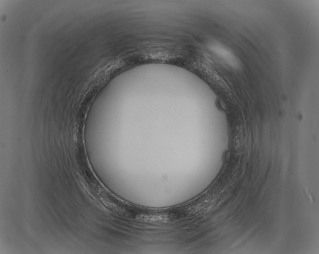 X0000083660639200703121812