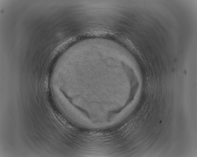 X0000083660640200703121812