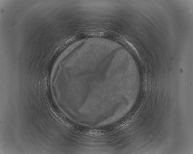 X0000083660641200703121812