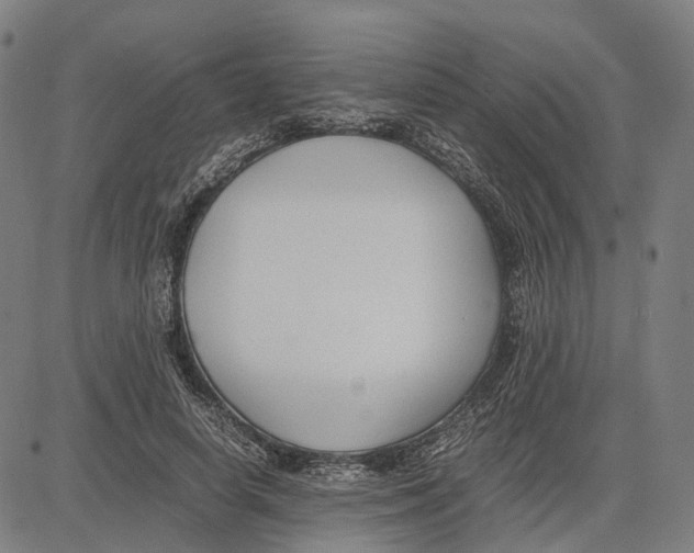 X0000083660642200703121812