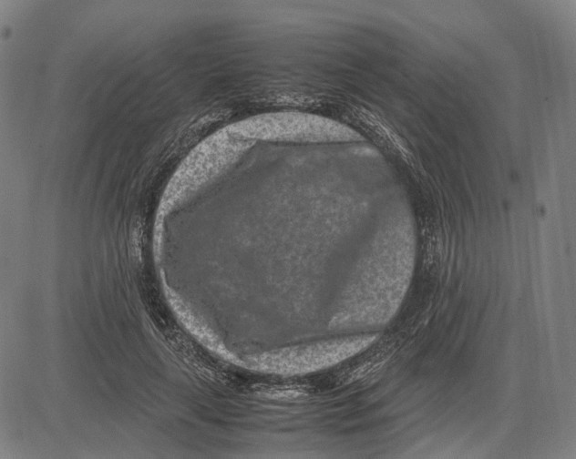 X0000083660643200703121812