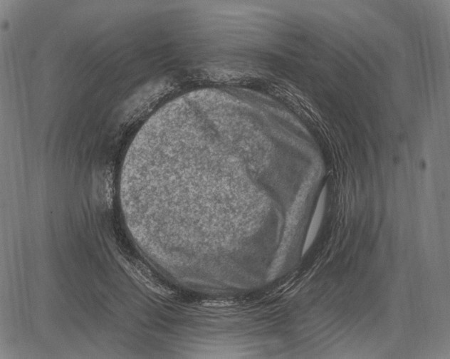 X0000083660644200703121812