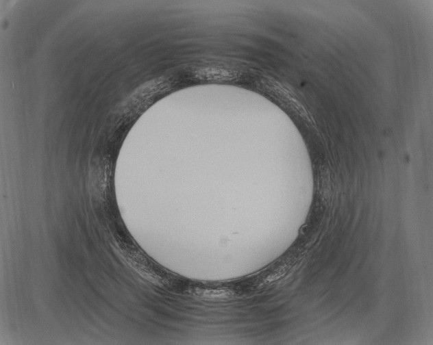 X0000083660645200703121812