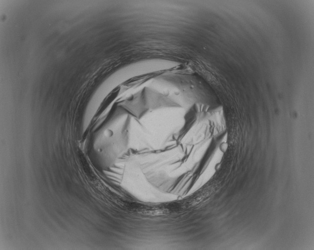 X0000083660646200703121812