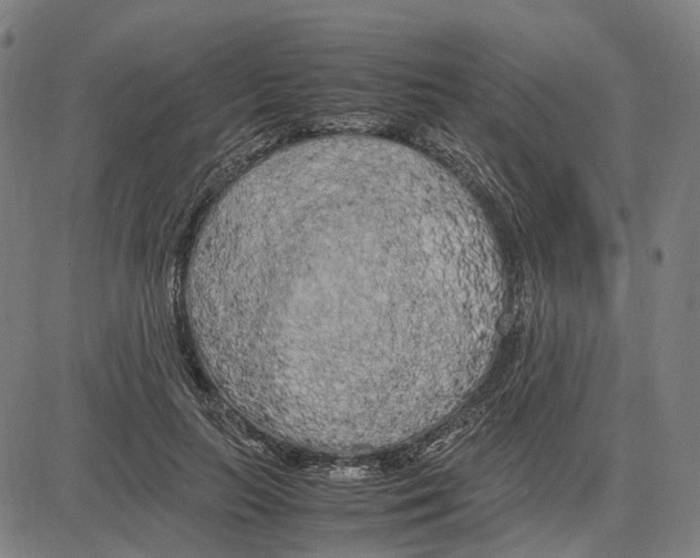 X0000083660647200703121812