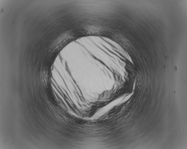 X0000083660648200703121813