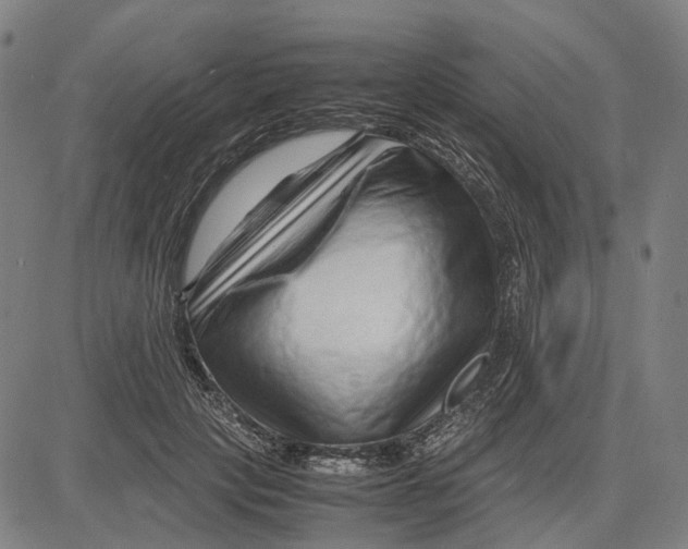 X0000083660649200703121813