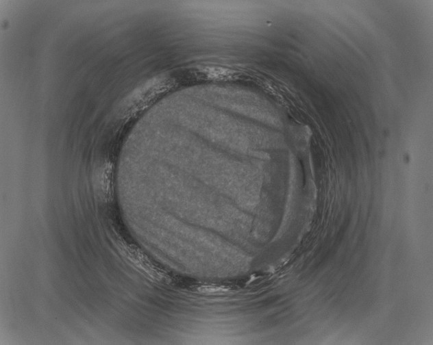 X0000083660650200703121813