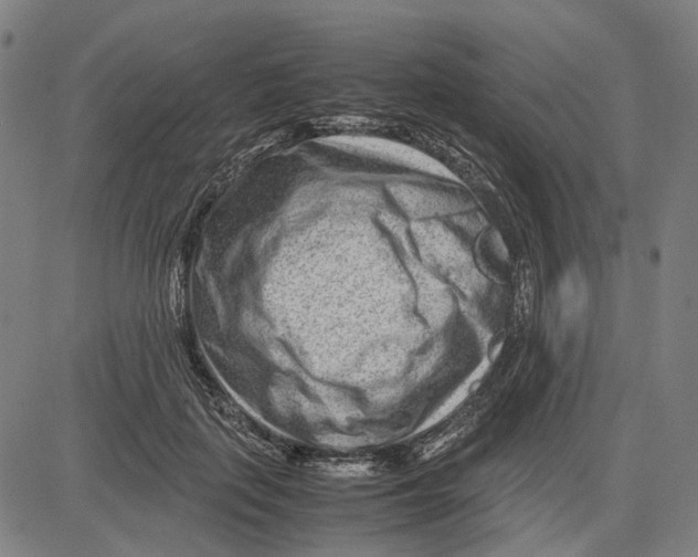 X0000083660651200703121813