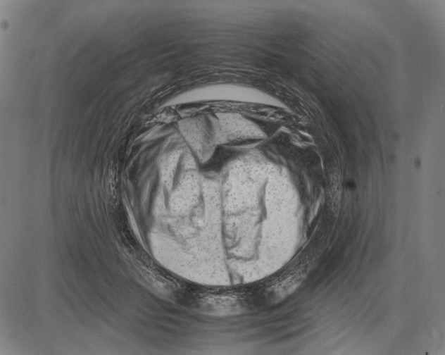 X0000083660653200703121813