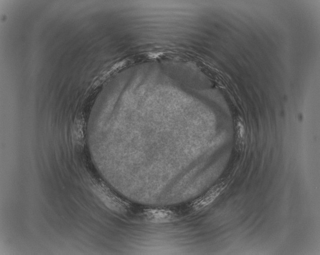 X0000083660654200703121813