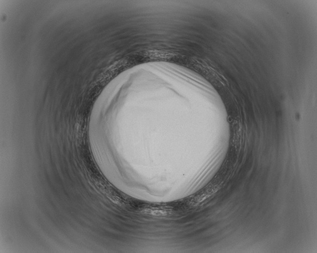 X0000083660655200703121813