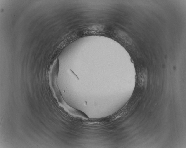 X0000083660657200703121813