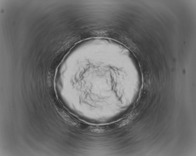 X0000083660658200703121813