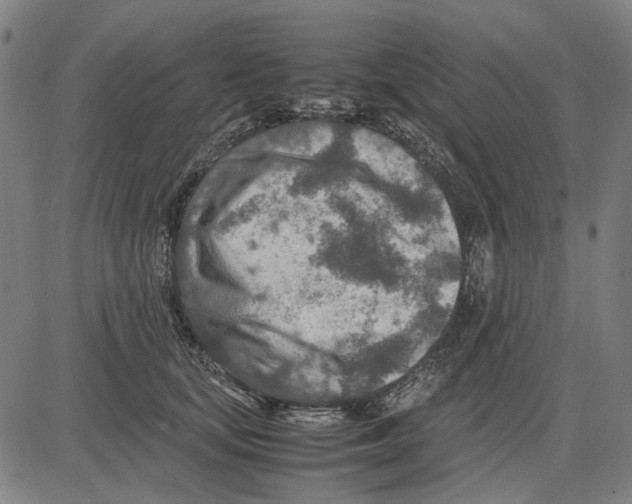 X0000083660659200703121813