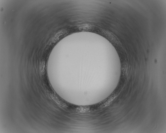 X0000083660660200703121813