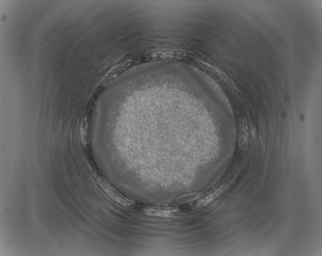 X0000083660661200703121813