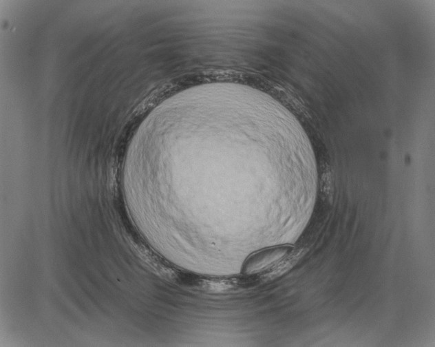 X0000083660662200703121813