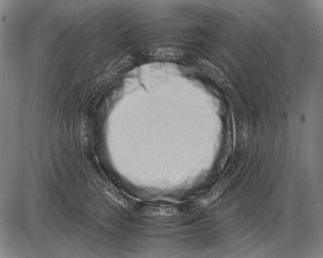 X0000083660663200703121813