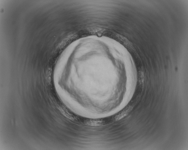 X0000083660664200703121813