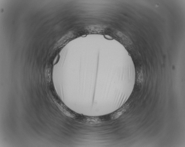 X0000083660666200703121813