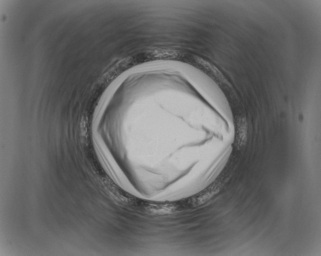 X0000083660667200703121813