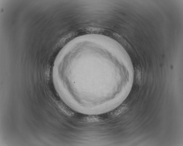 X0000083660668200703121813