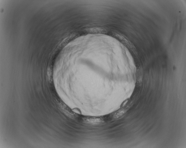 X0000083660669200703121813