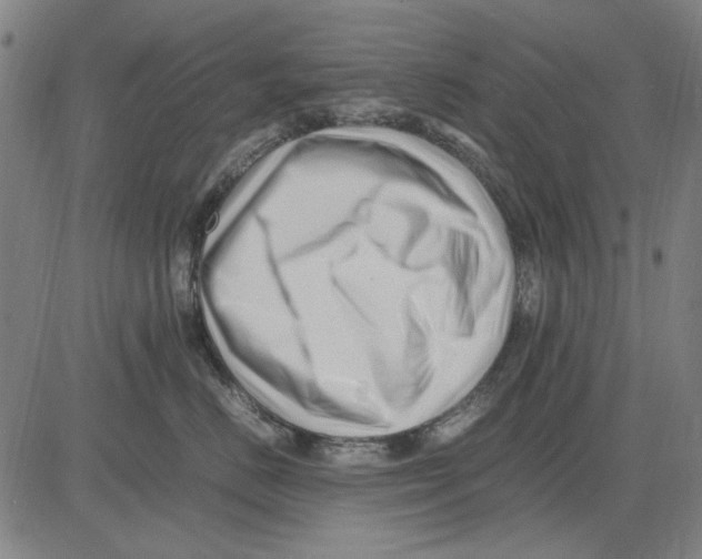 X0000083660670200703121813