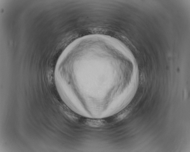 X0000083660671200703121813