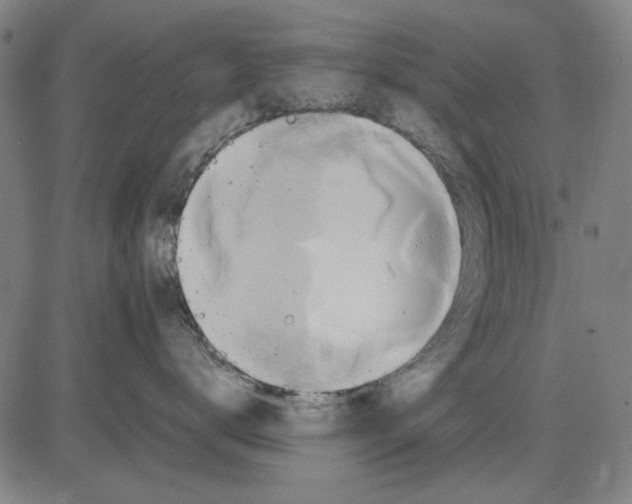 X0000083660672200703121813