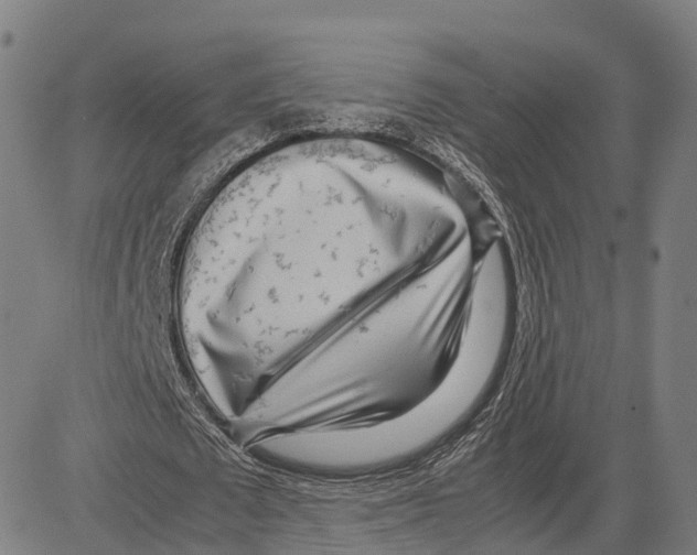 X0000083660673200703121812