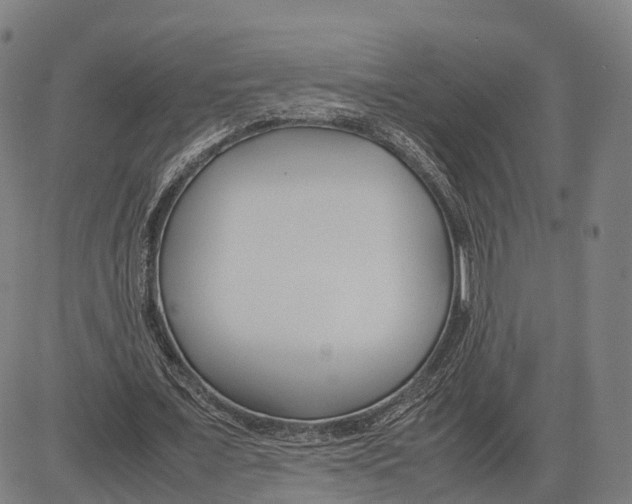 X0000083660675200703121812