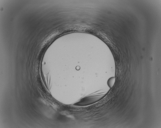 X0000083660679200703121812